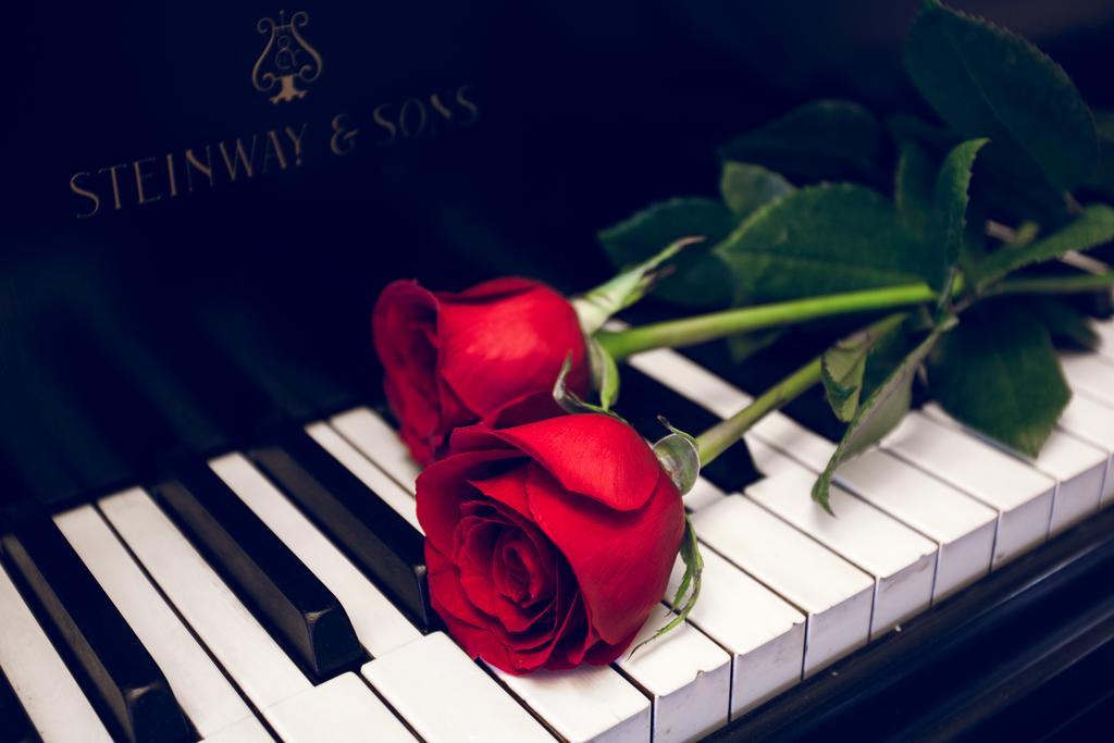 Rose Garden Bed And Breakfast Τορόντο Εξωτερικό φωτογραφία
